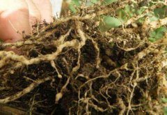 <b>��������߳没�ķ��η���</b>