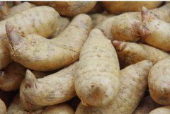 ����龥��Ϊ����?�ļ��������Ժ�?