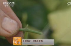 <b>[ũ�����]�޺���Ǥ�����缼����Ƶ</b>