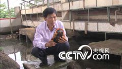 [�¸���]����ա������������ת�͵���������׬ǧ��ĲƸ�·