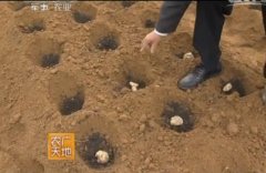 <b>ݭ����ֲ�龥������?������ֲ?����о��Ƕ���?</b>