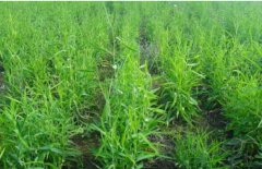 <b>2��������������</b>