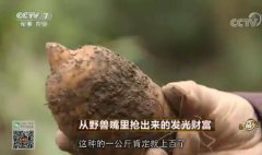 <b>[�¸���]���ݴ�����ƽ������ ��Ұ��������������ǧ��Ƹ�</b>