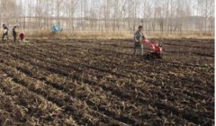 <b>��������ʲôʱ�䲥�֡�����?</b>