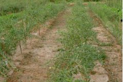 <b>��轡��������ּ���</b>