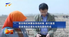 <b>��������������¶�����ô�죿ר����֧�У�</b>