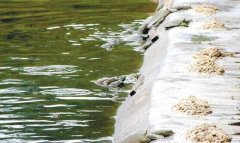 <b>�Ĵ���־��Ұ�������㡰���������,���㵰��������������!</b>