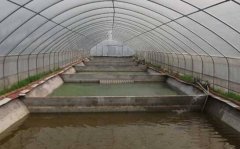 <b>������ֳ�����������ƽṹ���ѧ?</b>