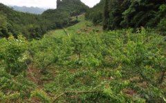 һĶǰ����׬4000Ԫ�����������ǰ���¸�����·��