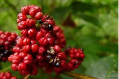 <b>��ɵ�ϰ塱�Ʊ�����СС�����ǳ���ũ�������¸��ġ�������</b>