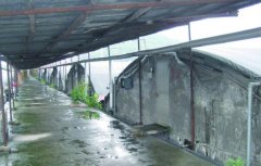 <b>����������Ӧע����Щ����!</b>