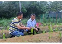 <b>57��Ĺ¹����˴�ƶ��������ҩ����ֲ�����ˡ��Ļ�������</b>