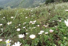 ��������+ũҵ����С�ջ��������󡱼�Ǯ