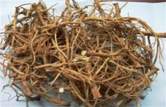 2018�ֲ��׬Ǯ��2018�����ֲ���󡢳ɱ����г�ǰ������