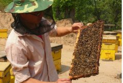 <b>���似��:�����з������һ���׬1000Ԫ!</b>