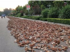 2018����ֲ��֥׬Ǯ��?��ֲ1�����֥�����ĳɱ��������Ƕ���