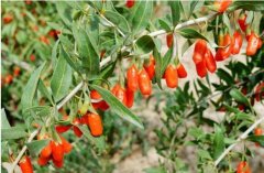 ��轲�����ߵķ���