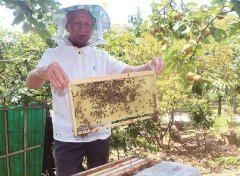 <b>һ������5��Ԫ,�ݺ�С��԰��������׬Ǯ</b>