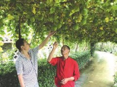 ������Ǯ �ֿɹ��� ����,���������ֲ������!