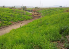 �����Ұ�����༼��