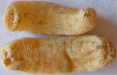 <b>δ��������ֲǰ���ò��ã�</b>