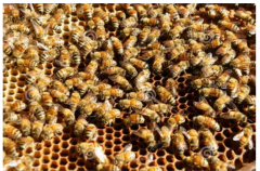 <b>����ʲôʱ�任������?������?����Щ����?</b>