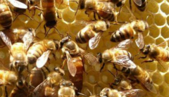 <b>�����������䣺����ķ����Ͳ���</b>