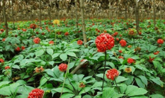 <b>���߶�����������Ҫ��</b>