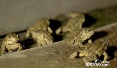 <b>������Ԭ������׬��Ǯ��</b>