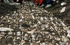 <b>�����˹��ڷ۵�ʱ��ͷ���</b>