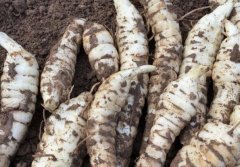 <b>90��Ů������κ���紴ҵ��СС��ݲ����������ã�</b>