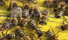 �۷�΢���Ӳ��ķ���ʱ��ͷ��η���