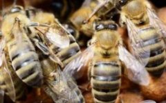 ������������?Ҫע����Щ���