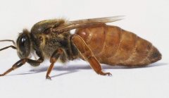 ������������������̨�ʹ�����Ů����