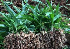 <b>��Ķ��ܸ����23��Ԫ������ܸ�ֵܡ�ۏ���¸�·</b>