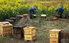 <b>�з�Ӽ���ò��ã���������</b>