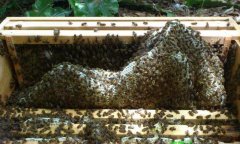 <b>�з�Ӽ��䡢ǳ�����Լ�������ʽ��ķ���</b>