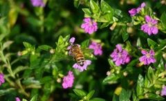 �������ڣ�������֯����Ⱥ����Ⱥ�ﲻ������ȺȺ�Ʊ�׼����ô�죿