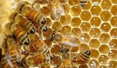 �۷���γ没��η��Σ�