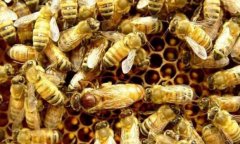 ������������������������������