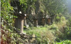 ����֪ʶ�������ղ�Ұ���䣿