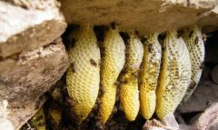 �����������Ұ����(��ַ���)��