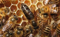 �з���������û����жϷ���