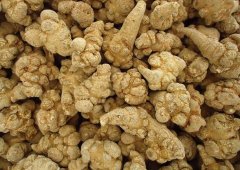 <b>����������ץ���ĸ�����Ҫ��</b>