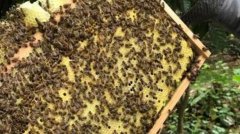 �з���η��Ϻ�