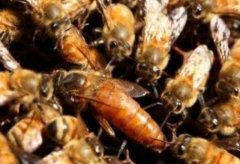 �з����������Щ��ͬ��