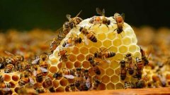 �۷�������ʲôҩ