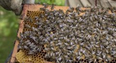 �����жϷ�������?��δӷ�����������жϷ����Ƿ�����