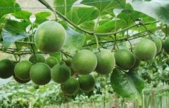 <b>�������ֻƾ�һ��˫�գ�ÿĶ���ս�2��</b>