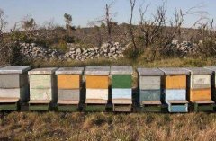 �з���ֳ:�з�ת�طŷ䷽��